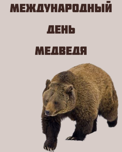 День медведя День медведя.